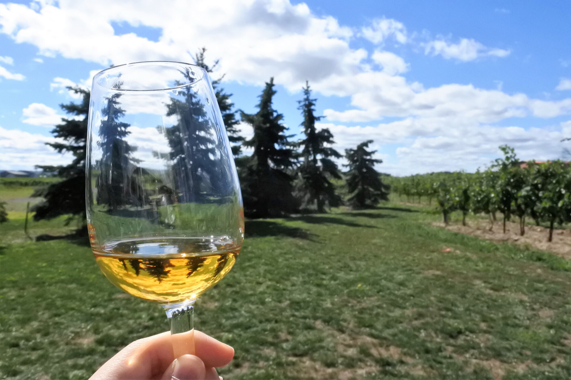 Ten dishes you’ll want to sample whilst overseas